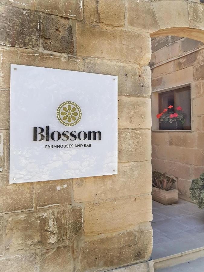 גאסרי Blossom Farmhouses מראה חיצוני תמונה